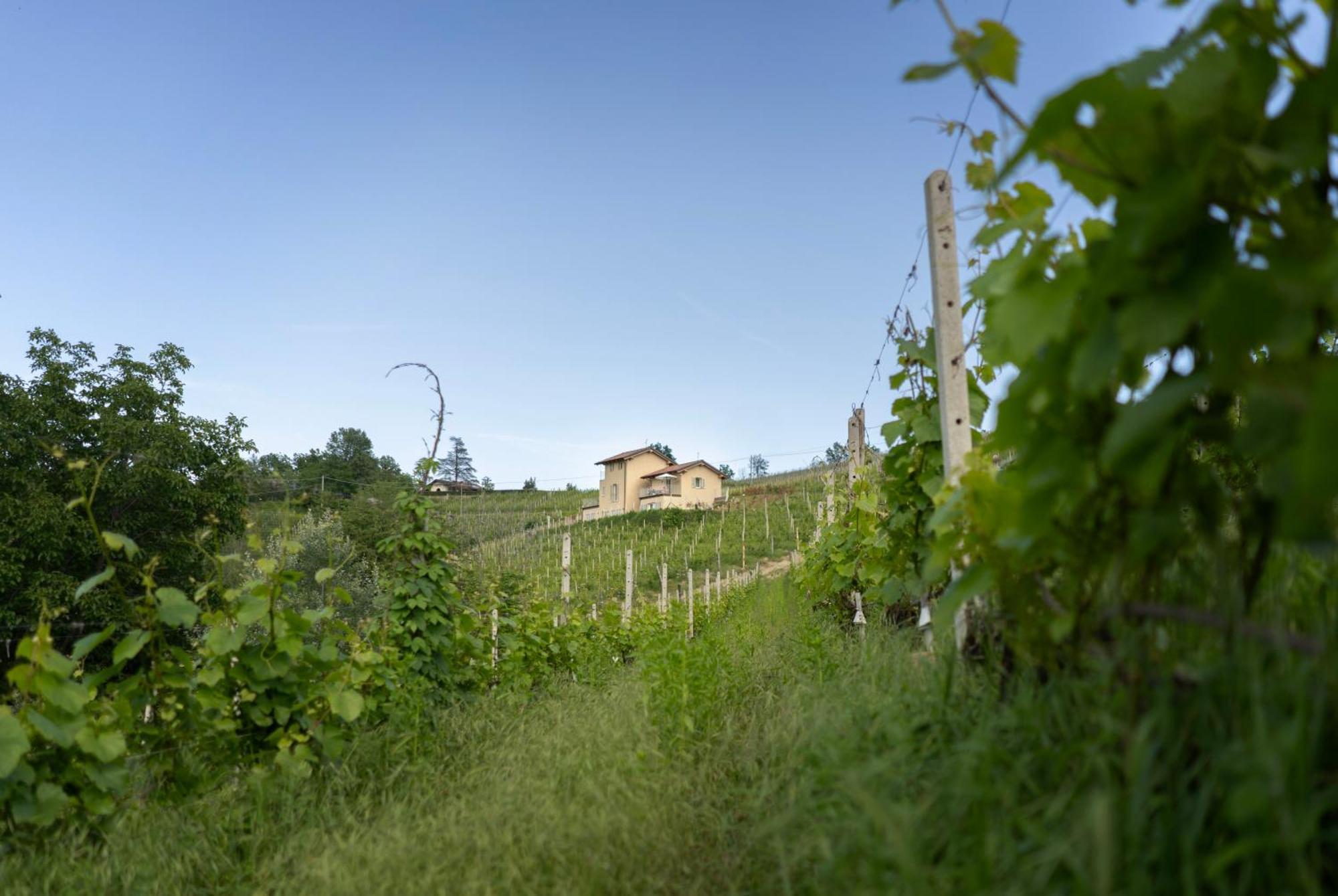 I Ciabot Di Monforte Monforte dʼAlba Екстериор снимка