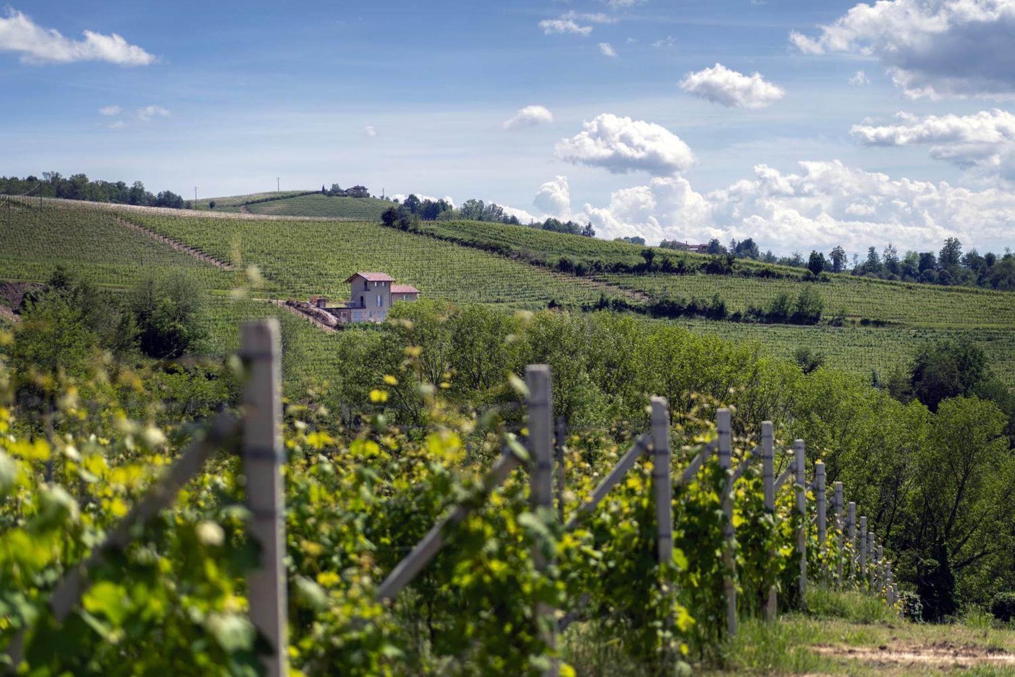 I Ciabot Di Monforte Monforte dʼAlba Екстериор снимка