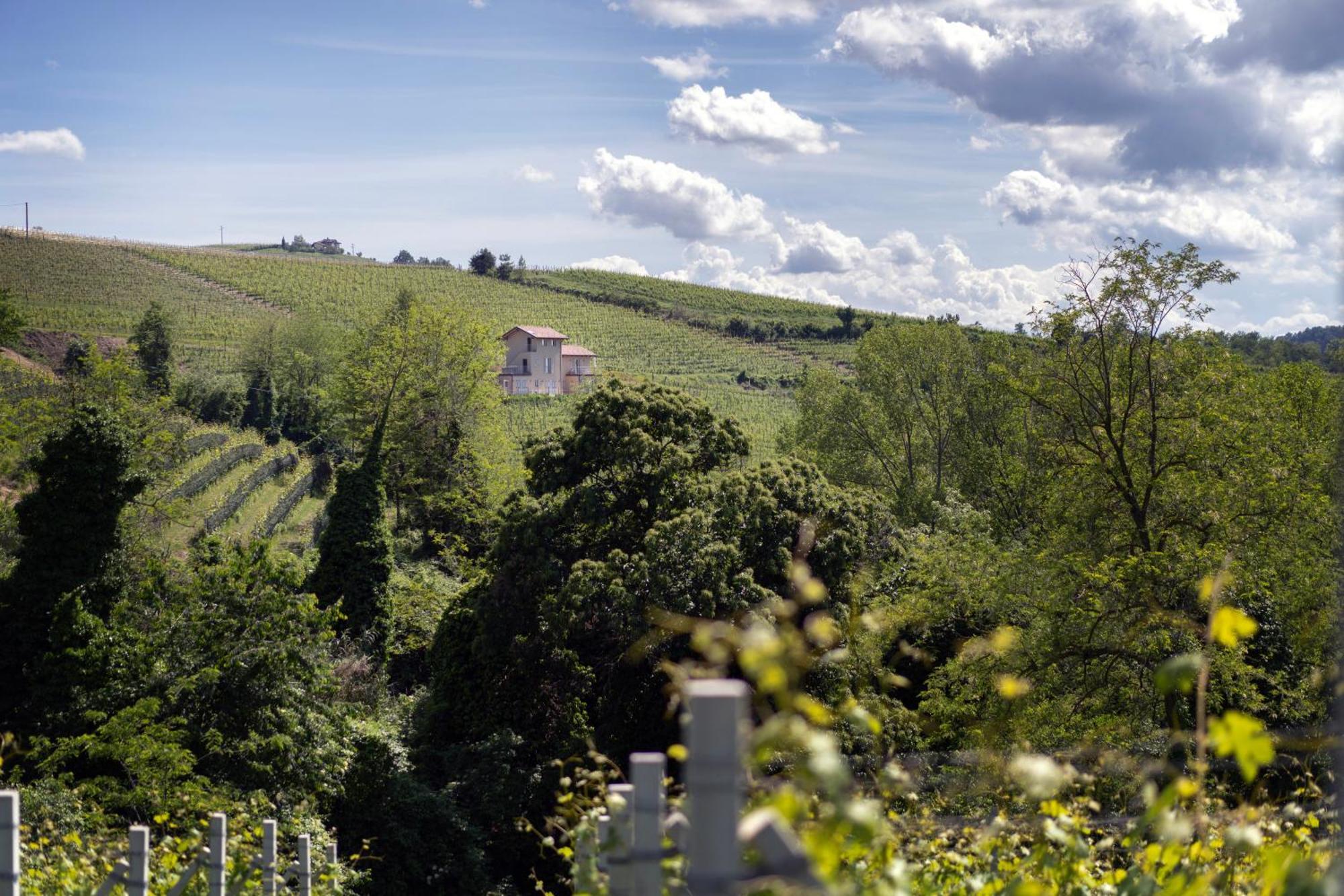 I Ciabot Di Monforte Monforte dʼAlba Екстериор снимка